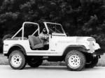 Jeep CJ-7 Renegade 1979 года
